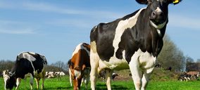 Preocupación en el sector lácteo por el descenso en el consumo de leche