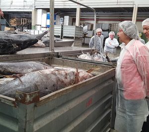 Actemsa crecerá un 12% al cierre de 2016