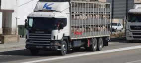 Transegre crece a pesar de los precios