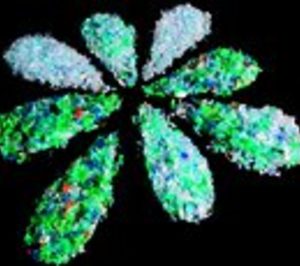 Convocada la séptima edición de los premios al mejor plástico reciclado