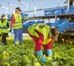 Florette presupuesta 12 M para 2017