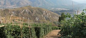 El grupo La Caña da un fuerte impulso a los ecológicos