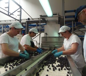 Acenorca recupera el pulso tras la entrada de sus nuevos socios