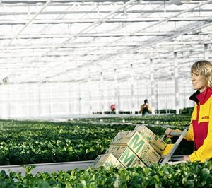 DHL lanza un servicio de transporte hortofrutícola a China