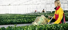 DHL lanza un servicio de transporte hortofrutícola a China