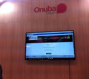 Onubafruit inicia la venta online mayorista de frutas en fresco