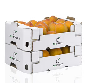 Envases Rambleños obtiene el modelo de utilidad para su sistema Airfruit