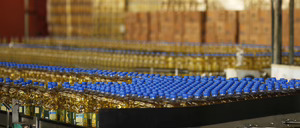 Informe 2016 del mercado de Envases de PET