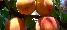 Plus Berries da un salto cualitativo con la incorporación de Caver