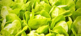 Primaflor amplía su plantación en Reino Unido