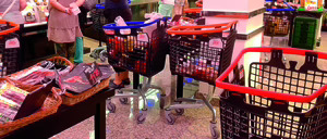 Infome 2016 del sector de Carros y cestas