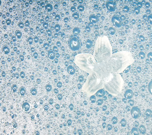 Jabones Pardo mantendrá su nivel de ventas en 2016