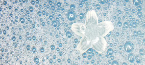 Jabones Pardo mantendrá su nivel de ventas en 2016