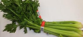 Verduras Curro eleva su facturación a doble dígito