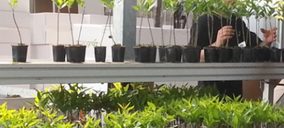 Investcorp toma una participación mayoritaria en Agromillora