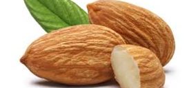 Sucesores de Luis Cremades será liquidada tras no superar el concurso