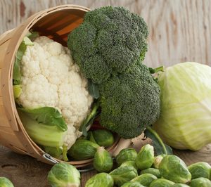 Natural Functional Foods avanza en su proyecto de producción de alimentos funcionales