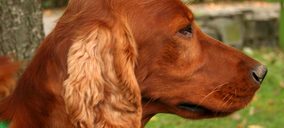 SPF Diana ampliará su presencia en España