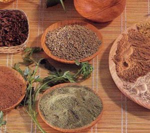 Fallece Antonio Mohino, propietario de Anvisa