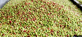 Custom Drinks facturará en 2016 el doble que hace tres años