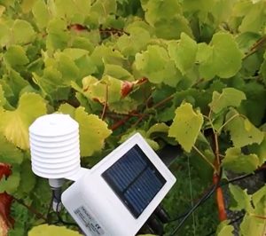 Pazo de Señorans aborda su transformación digital