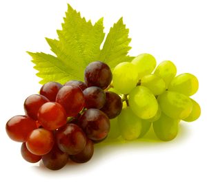 HaciendasBio invierte en una central hortofrutícola tras incorporar nuevas explotaciones