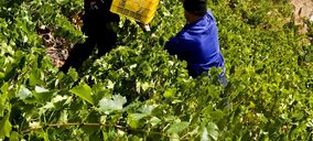 Ponte da Boga lidera el proyecto Ecovine