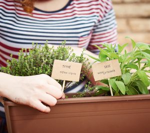 Planeta Huerto consolida su posición en la distribución ecológica online