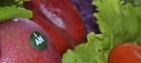 El Grupo AN aumenta la facturación un 8%