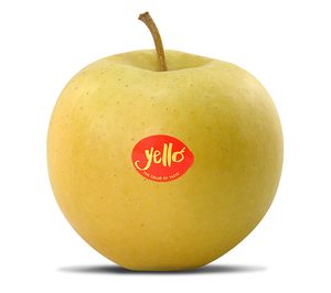 Los consorcios VOG y VI.P producen y comercializan en Europa la nueva Yello