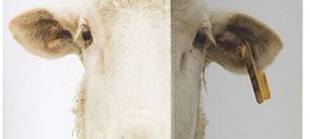 Bodegas y Viñedos Fontana constituye una nueva comercial