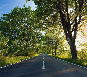 Se ralentiza el crecimiento del transporte por carretera