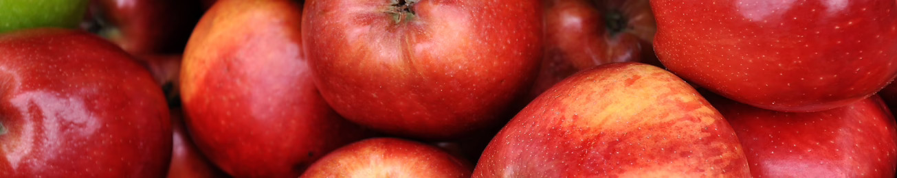 Informe 2017 del sector de Manzana en España