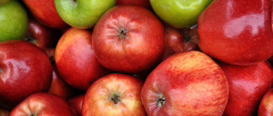 Informe 2017 del sector de Manzana en España