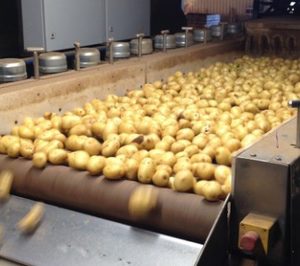 Viuda de Antonio Serra moderniza sus instalaciones