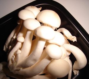 DMP espera sumar este año dos nuevos clientes de la gran distribución