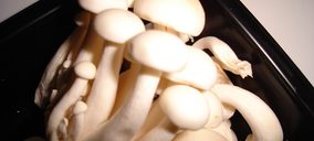 DMP espera sumar este año dos nuevos clientes de la gran distribución