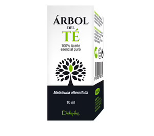 Korott eleva su cifra de negocios en 2016