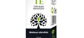 Korott eleva su cifra de negocios en 2016