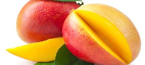 La división de fresco impulsa la facturación de Conservas Casagrande