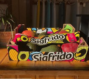 Sigfrido prepara la construcción de sus nuevas instalaciones