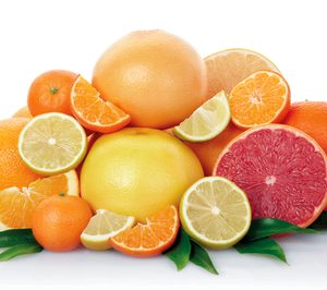 Daifressh venderá un 20% más de cítricos