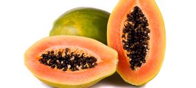 Grupo Durán apuesta por las tropicales