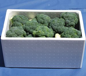 Las cajas de EPS ya tienen su norma