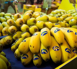 El Plátano de Canarias gana cuota en el mercado peninsular