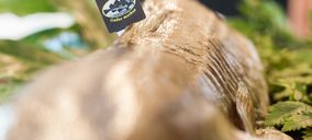 España, principal consumidor del bacalao noruego premium Skrei