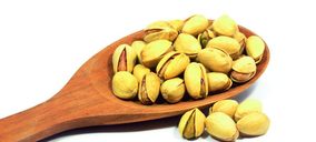 Agroforestales Esla ultima la construcción de su planta de procesado de pistacho