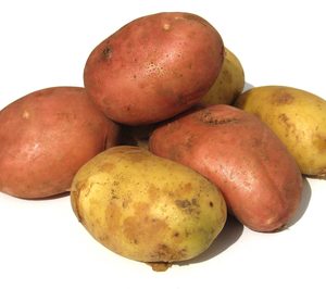 Intersur constituye una sociedad mixta en Argelia para producir patata nueva