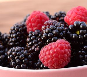 Fresón de Palos incorpora la mora a su oferta y prevé seguir creciendo