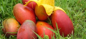 Más capacidad productiva en Tropico Spain